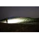 Latarka Olight ArkPro Class 1 Cool White Silver Graphite - 1500 lumenów