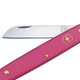 Nóż ogrodniczy Victorinox Floral Knife - Różowy